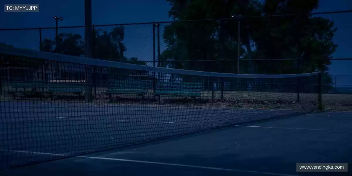 ⚽全球赛事，尽在掌握！指尖滑动，见证冠军诞生的每一秒！